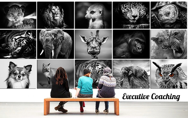 executive coaching
