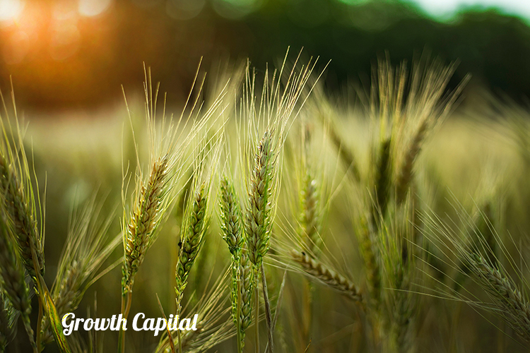 growth capital